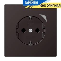 Розумна розетка із заземленням та захистом JUNG HOME BTAL1521SD-L Dark, керування та безпека в одному пристрої