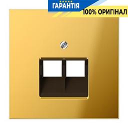 Панель розетки TF/PC 2-а Jung GO2969-2UA імітація золота