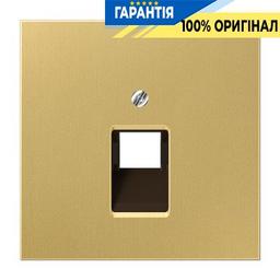 Панель розетки TF/PC 1-а Jung ME2969-1UAC латунь Classic