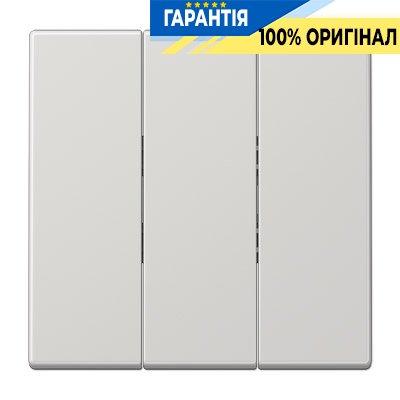 Клавіша 3-а Jung LS993BFLG світло-сірий