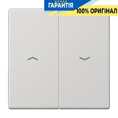 Клавіша 2-а з символами «стрілки» Jung LS995PLG світло-сірий