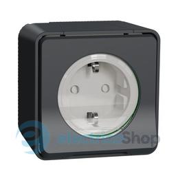 Розетка з з/к та шторками IP55, чорна, зовнішній монтаж Mureva Styl Schneider Electric MUR36034