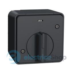 Вимикач з таймером IP55, зовнішній монтаж, чорний, Mureva Styl Schneider Electric MUR35067