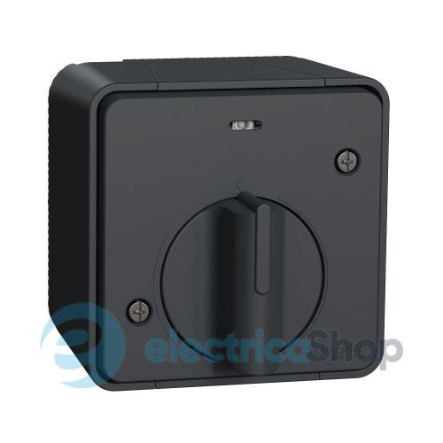 Вимикач з таймером IP55, зовнішній монтаж, чорний, Mureva Styl Schneider Electric MUR35067