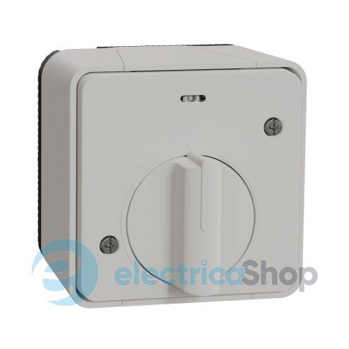 Вимикач з таймером IP55, зовнішній монтаж, білий, Mureva Styl Schneider Electric MUR39067