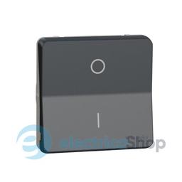 Механізм перемикача двохполюсний IP55, чорний, Mureva Styl Schneider Electric MUR35034
