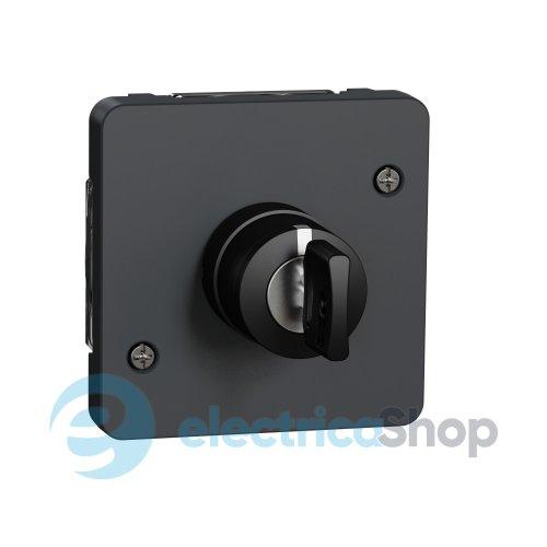 Механізм вимикача з ключем на 3 положення IP55, чорний, Mureva Styl Schneider Electric MUR35061