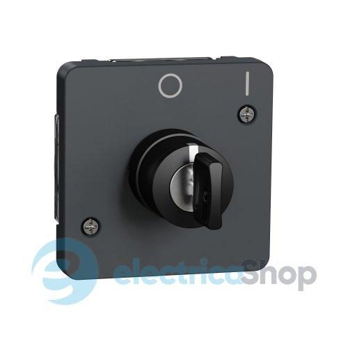 Механізм вимикача з ключем на 2 положення IP55, чорний, Mureva Styl Schneider Electric MUR35062