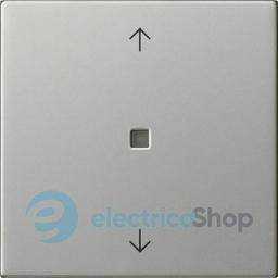 Клавіша 1-кл. зі стрілками S3000 System 55 Gira 5388600, сталь