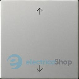 Клавіша 1-кл. зі стрілками S3000 System 55 Gira 5389600, сталь
