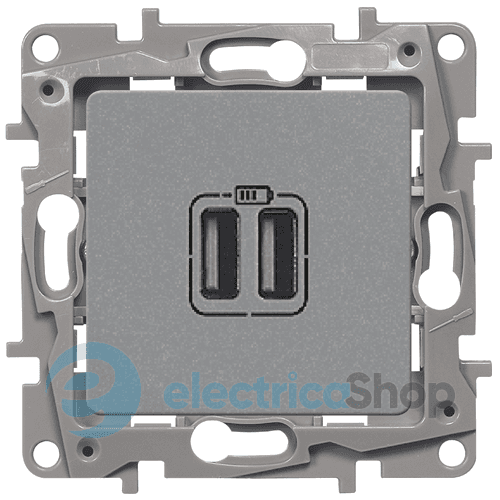 Розетка подвійна USB, 240 / 5В, 2400МА, Legrand Etika (алюміній)