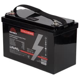 Батарея акумуляторна Vitals ALFP-2450abd 24В 50А·год LiFePO4 10.3кг