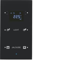 Скляний сенсор 2-кан. з регул.темп-ри, конфігуруємий, чорний, TS Sensor
