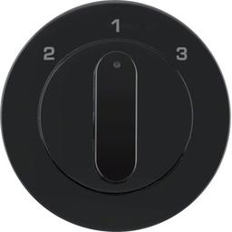 Центральна панель для 3-рівневого вимикача 1-2-3, чорна, R.x Berker 1084204500