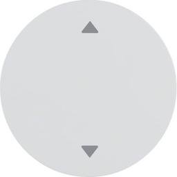 Клавіша 1Х зі знаком 'Стрілки', полярна білизна, R.x Berker 16202049