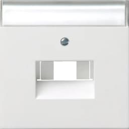 Накладка для TAE+USB з надписом F100 Gira 0284112, білий глянцевий