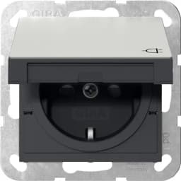 Розетка з з/к та кришкою, шторки, System 55 Gira 4414600, сталь