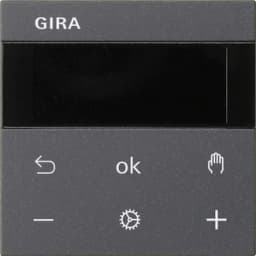 Термостат Gira S3000 Display System 55, 539328 антрацит