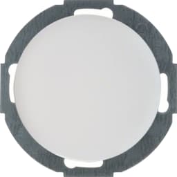 Заглушка з центральною панеллю без цоколя R.classic Berker 10092079, полярна білизна