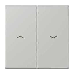 Клавіша 2-а зі стрілками JUNG LC995P205 gris clair 31 (32013) для керування світлом та пристроями