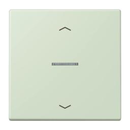 Клавіша з символом «стрілки» JUNG HOME, 1 група, BTLC17101P218, vert anglais pâle (32042)