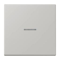 Клавіша 1-а з підсвіткою JUNG LC990KO5205 gris clair 31 (32013) для електроустановок