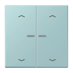 Клавіша з символом «стрілки» JUNG HOME, 2 групи, BTLC17102P214