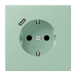 Розетка з заземленням та USB тип C JUNG LC1520-18C217 vert anglais clair (32041)