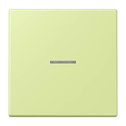 Клавіша JUNG HOME 1 група BTLC17101222 vert jaune clair (32053)