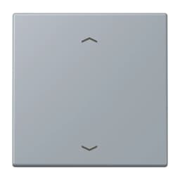 Клавіша зі стрілками JUNG LC990P257 gris clair 59 для керування, оригінал