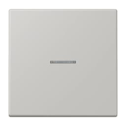 Клавіша JUNG HOME 1 група BTLC17101205 gris clair 31 (32013)