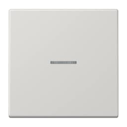 Клавіша JUNG HOME 1 група BTLS17101LG світло-сіра