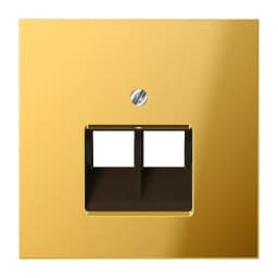 Панель розетки TF/PC 2-а Jung GO2969-2UA імітація золота