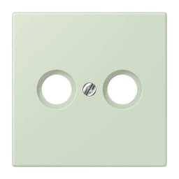 Накладка для TV розетки JUNG LC990TV218 світло-бежевого кольору vert anglais pâle