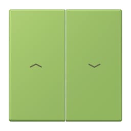 Клавіша 2-а зі стрілками JUNG LC995P220 vert 31 (32051) для керування, оригінал