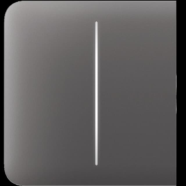 Ajax SideButton (2-gang) (сірий)