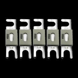 Запобіжник Victron Energy ANL-fuse 300A/80V (5 pc)