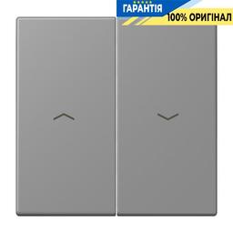 Клавіша 2-а зі стрілками JUNG LC995P203 gris 31 (32011) для керування світлом та технікою