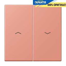 Клавіша 2-а зі стрілками JUNG LC995P233 l’ocre rouge moyen (32111) для електропанелей