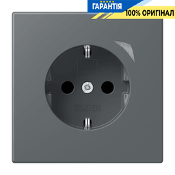 Розумна розетка з заземленням 250V/16А JUNG HOME BTLC1521S202, gris foncé 31 (32010)