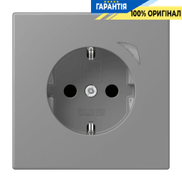 Розумна розетка з заземленням 250V/16A JUNG HOME BTLC1521S203, gris 31 (32011)