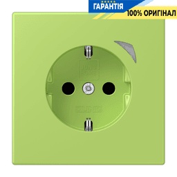 Розумна розетка з заземленням 250V 16А JUNG HOME BTLC1521S221, vert clair