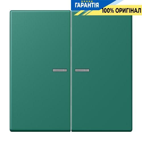 Клавіша JUNG HOME, 2 групи, BTLC17102216, vert anglais (32040)