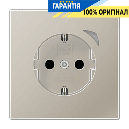 Розумна розетка із заземленням та захистом JUNG HOME BTES1521S-LI Edelstahl