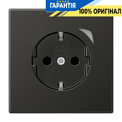 Розумна розетка JUNG HOME BTAL1521SAN-L із заземленням та захистом, антрацит