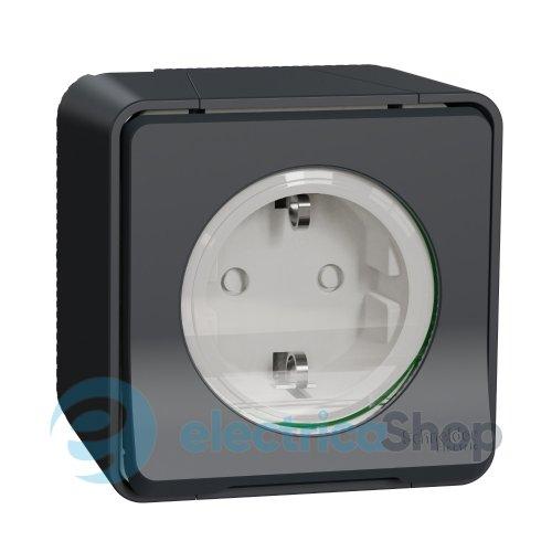Розетка з з/к та шторками IP55, чорна, зовнішній монтаж Mureva Styl Schneider Electric MUR36034