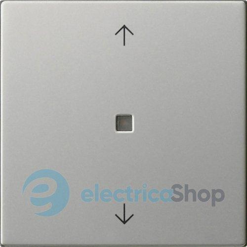 Клавіша 1-кл. зі стрілками S3000 System 55 Gira 5388600, сталь
