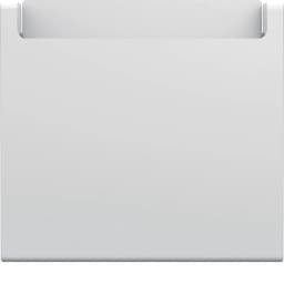 Накладка для карткового вимикача hotelcard Lumina/Gallery, Hager WXD055P, біла