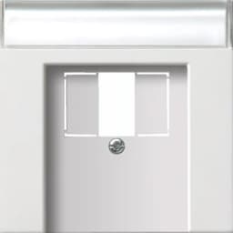 Накладка для TAE+USB з полем для надпису F100 Gira 0876112, білий глянцевий