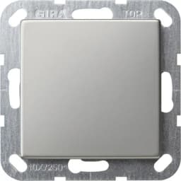 Заглушка з опорною пластиною System 55 Gira 0268600 сталь